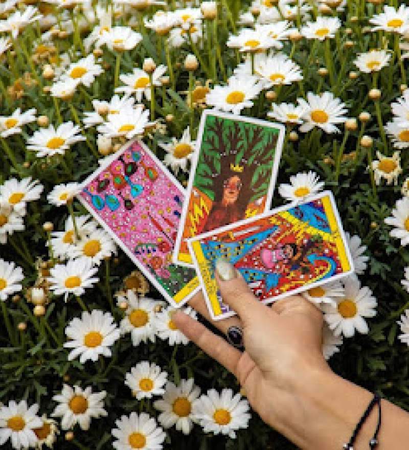 Ver Teléfono de Tarot Número 13