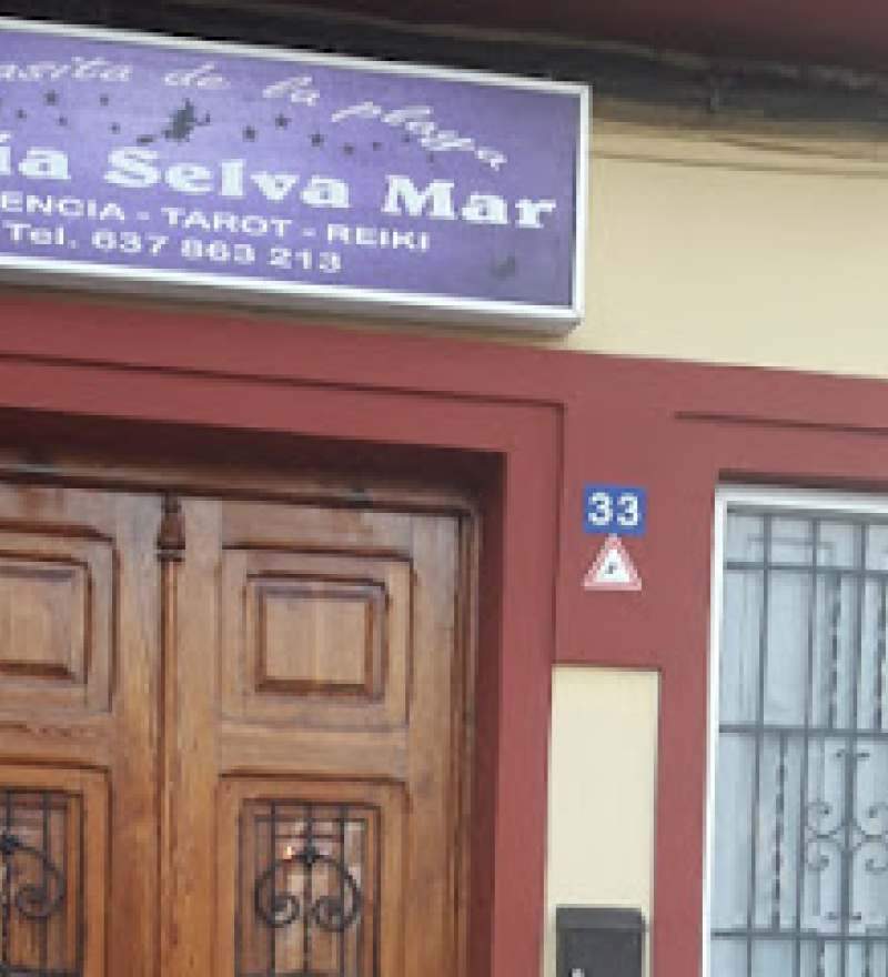 Ver Teléfono de Maria Selva Vidente